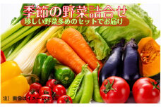 上田さんちの季節の珍野菜詰合せ9月～10月発送分_1878R-09