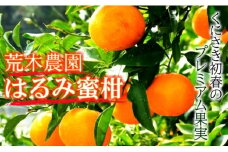 【令和7年2月から発送】荒木農園のはるみ約4kg/弾ける果肉に感動のプレミアム蜜柑_1395R