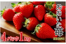 【先行予約】令和7年発送/大分県産いちご1kg/250g×4パック_1937R