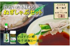 大分県産味一ねぎ×国東市ブランド桜王豚のねぎしゃぶセット_1969R