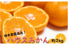 【7月中旬から発送予定】楠本農園直送！こだわりハウスみかん 約2kg_1984R