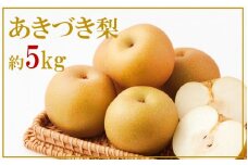 【先行予約】令和7年発送/数量限定！矢野果樹園の梨『あきづき』5kg_2061R