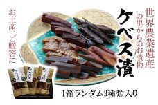 【10月から発送予定】西の関の酒粕で作ったこだわりの奈良漬け「季節のケベス漬け」1箱ランダム3種セット（計510g）_2106R