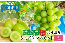【先行予約】 おおいたの豊潤シャインマスカット約2㎏ 令和7年出荷分_1615Ｒ