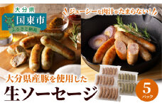 【要加熱】ジューシーな肉汁が堪らない！大分県産豚を使用した生ソーセージ（粗挽き・バジル計30本）_2097R