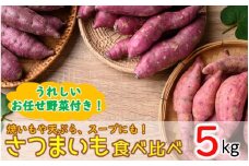 上田農園のさつまいも食べ比べセット5kgとユニーク野菜付き_2119R