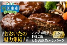 おおいたの魅力集結！大分の恵みハンバーグ 1.6kg（160g×10個）_2146R