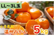 小玉農園/国東みかん約5kg（LL～3Lサイズ）_2150R