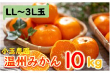 小玉農園/国東みかん約10kg（LL～3L）_2151R