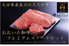 シェフ厳選！ おおいた和牛プレミアムステーキセット（シャトーブリアン＆サーロイン）_2207R