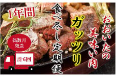 偶数月にお届け!おおいたの美味い肉!ガッツリ食べ尽し1年間定期便/2ヶ月毎計6回発送_2224R