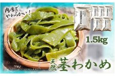 やわらか天然茎わかめ1.5kg（250g×6P）_2229R