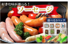 好きな味が選べる！大分県産ソーセージ8種類から3パック_2236R