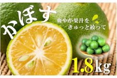 【先行予約】素材を活かす名脇役 大分県産かぼす1.8kg_2254R