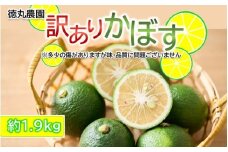【訳あり】多少の傷あり 徳丸農園かぼす約1.9kg_2265R