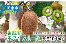 未追熟 キウイフルーツ 36玉（約3.6kg）_2302R