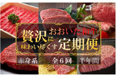 毎月お届け! おおいた和牛を贅沢に味わい尽くす半年間定期便 / 赤身系 計6回 _2312R