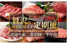 毎月お届け! おおいた和牛を贅沢に味わい尽くす半年間定期便 / 霜降り系 計6回_2313R