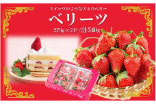 大分県ブランドいちご/スイーツみたいな「ベリーツ」540g（270g×2Ｐ）_2338R