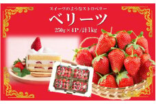 大分県ブランドいちご/スイーツみたいな「ベリーツ」1kg（250g×4Ｐ）_2359R