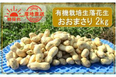 朝収穫してその日に発送！有機栽培の生落花生（品種：おおまさり）2kg_2354R