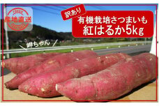 【訳あり】有機栽培さつまいもの岬ちゃん5kg（品種：紅はるか）_2357R
