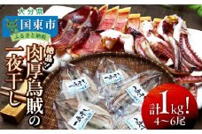 絶品！肉厚烏賊の一夜干し1kg_2366R