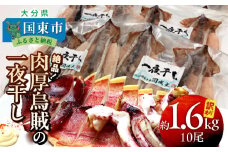【訳あり】絶品！肉厚烏賊の一夜干したっぷり10尾/約1.6kg _2367R