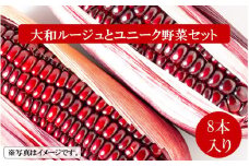 【令和7年7月～8月発送】上田農園の赤とうもろこし（大和ルージュ）とユニーク野菜_2380R