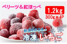 鮮度そのまま! 冷凍完熟いちご / ベリーツ&紅ほっぺ 1.2kg (300g×4P) 冷凍苺 イチゴ フルーツ 新鮮 小分け 便利_2418R