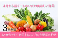 4月からお届け!おおいたの旬野菜定期便/計3回発送_2394R