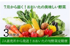 7月からお届け!おおいたの旬野菜定期便/計3回発送_2395R
