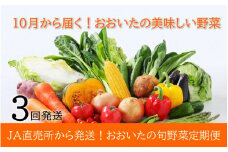 10月からお届け!おおいたの旬野菜定期便/計3回発送_2396R