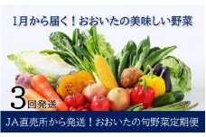 1月からお届け!おおいたの旬野菜定期便/計3回発送_2397R