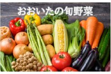 おおいたの旬野菜 10～13品 詰め合わせ_2398R