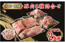 普段使いに便利なパック分け！大分県産豚肉5種詰合せ 合計約2kg_2445R