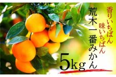 【先行予約・年明け配送】令和7年1月から出荷開始/荒木一番みかん約5kg _1271R-2