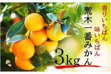 【先行予約・年明け配送】令和7年1月から出荷開始 / 荒木一番みかん約3kg_2305R-2