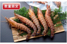 【数量限定】 鮮度抜群！活き〆冷凍車海老（360g）_2510R