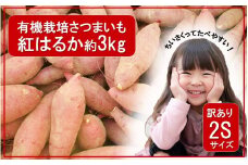 【訳あり】小さいサイズのさつまいも紅はるか約3kg（有機栽培 岬ちゃん 2Sサイズ 50g～100g前後/個）_2512R