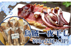 絶品！磯武の国産肉厚烏賊 一夜干し800g ( 2尾×3P )_1833R