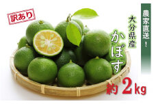 【先行予約】【訳あり】【選べる容量】農家直送！竹中農園 かぼす 約2kg_2473R