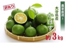 【先行予約】【訳あり】【選べる容量】農家直送！竹中農園 かぼす 約3kg_2473R-2