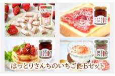 はっとりさんちのいちご飴Bセット_2526R