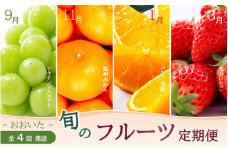 【数量限定】おおいた旬のフルーツ9月から半年間定期便/計4回発送_2553R