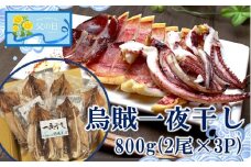 【父の日ギフト】絶品！磯武の国産肉厚烏賊 一夜干し800g ( 2尾×3P )_2556R