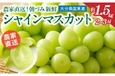 【先行予約】 農家直送！ 新鮮！ 朝づみ シャインマスカット 約1.5kg 令和7年産 フルーツ 果物 贈答 大分県産 採れたて_2537R
