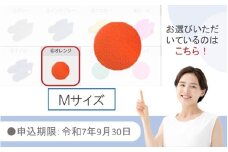 【9月30日まで】【限定色】【オレンジ・Ｍ】クロッツやわらか湯たんぽ/足用ショートタイプ_2566R-17