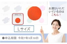 【9月30日まで】【限定色】【オレンジ・Ｌ】クロッツやわらか湯たんぽ/足用ショートタイプ_2566R-18