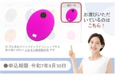【9月30日まで】【限定色】【ローズ】クロッツやわらか湯たんぽ/たまご型_2583R-4